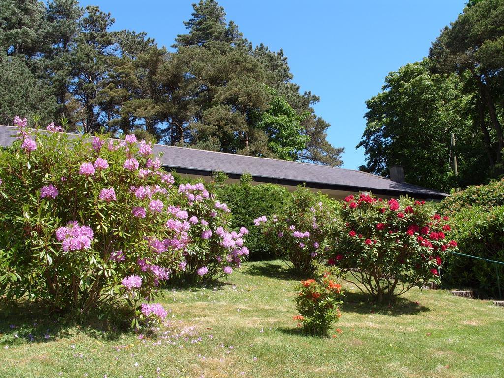 Plas Heulog Holiday Accommodation Лланфэрфечейн Экстерьер фото